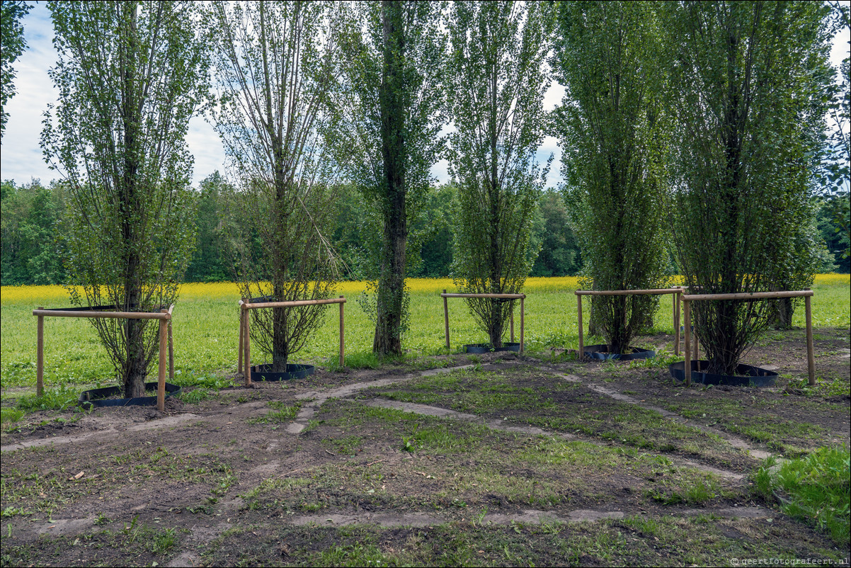 Groene Kathedraal Almere